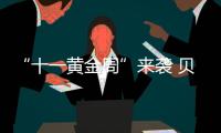 快排公司十年历程，霸屏兔 seo 的崛起与坚守