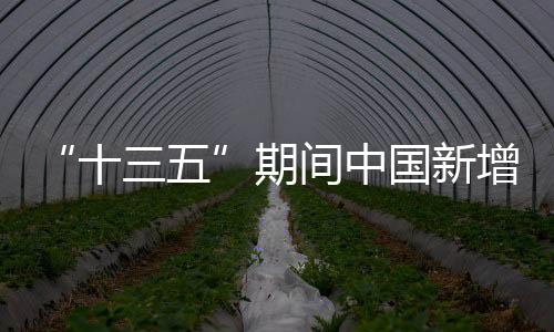 新增湿地面积20.26万公顷