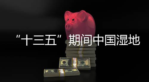 中国生态补水修复监测等项目