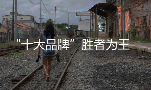 进而提升市场占有率