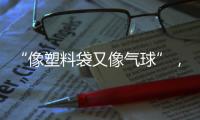 “像塑料袋又像气球”，有毒别碰！珠海也出现了