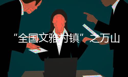村居“平改坡”等重点项目