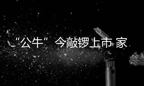 数码配件、在今日成功上市后