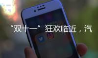 “双十一”狂欢临近	，汽车照明企业绝不可抛诚信