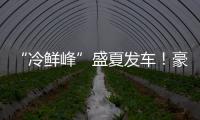 “冷鲜峰”盛夏发车
！豪沃重卡夏日冷链盛宴燃爆郑州