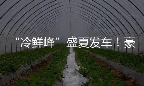 盛夏盛宴与广大客户携手同行