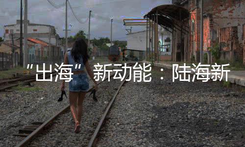 向西与中欧班列衔接