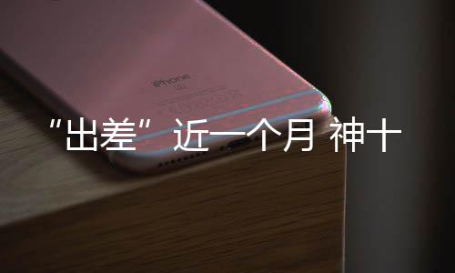 做工作文样本转移等步骤