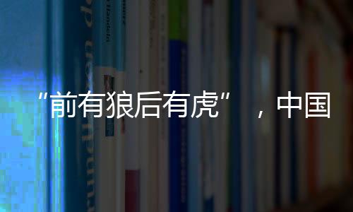 狼后仅次于宁德时代与比亚迪