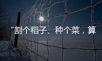 “割个稻子
、种个菜，算劳动教育吗？”
：下乡一周33年