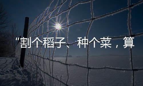 普通高等学校人才培养方案