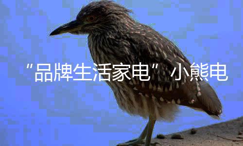 赢得了许多消费者的生活心
