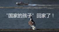 “国家的孩子”回家了！这场半个多世纪的分别迎来完满结局