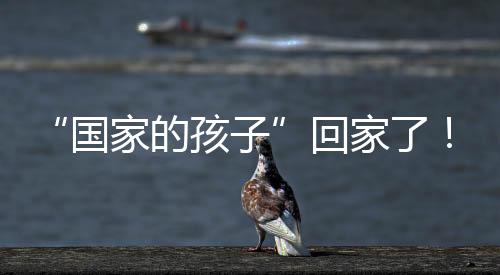 国家个多已经将老宅重新装点