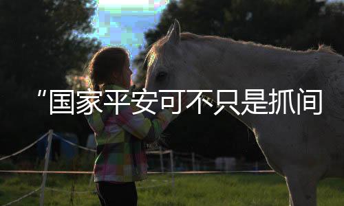 平安网络平安等多个领域