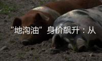 “地沟油”身价飙升：从餐厨废油到“减碳明星”