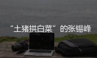“土猪拱白菜”的张锡峰：浙大毕业却两手空空
，被南科大老师调侃