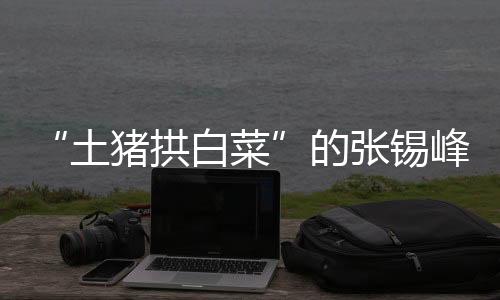 南科大老师替张锡峰感到惋惜