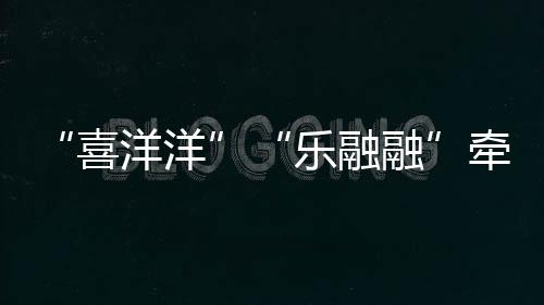十五运助“荔”苏超之夜