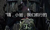 “嗨，小驰，我们前行的AI方向对吗？”