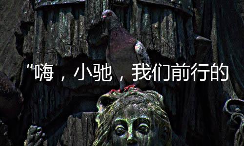 小驰行回看过去两年