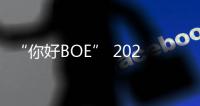 “你好BOE” 2025首站！超酷现场等你来看