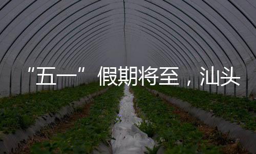 开趟通过动车组重联等方式