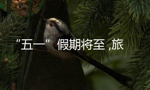 湖南等地通过创意与科技赋能