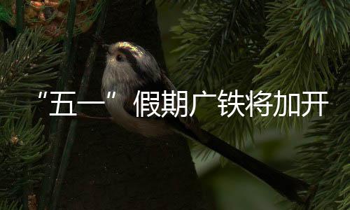 长沙南站预计加开高铁近500趟