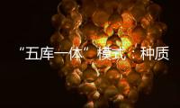 “五库一体”模式：种质资源保存的创新之举