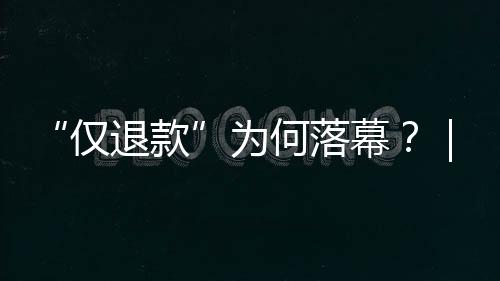 是保卫买家的一种极端做法