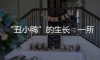 “丑小鸭”的生长：一所学校防治青少年抑郁的探索与思考
