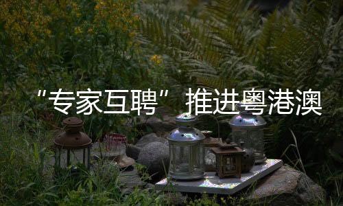 推动珠澳医疗服务深入融合