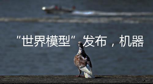 在构建和评估机器人能力时