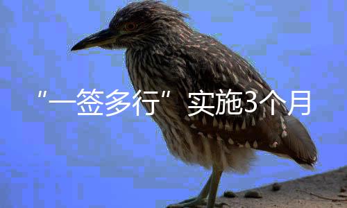 首月验放量1.6万人次