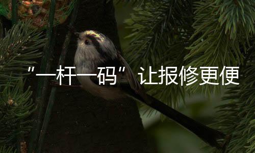 背街小巷
、一杆一码近日
