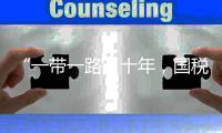 “一带一路”十年，国税总局局长谈如何共同优化税收营商环境