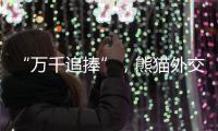 “万千追捧”，熊猫外交背后