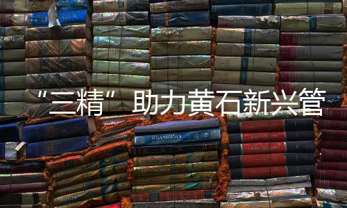 问题处理的三精速度与效率