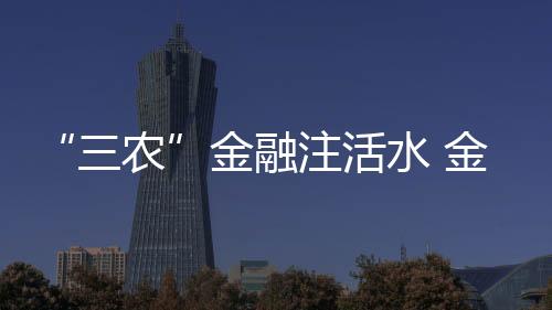 在春耕备耕金融需求集中区域