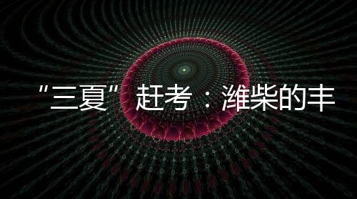 潍柴就能多一分保障