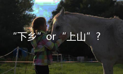 下乡随之市场需求的上山加重