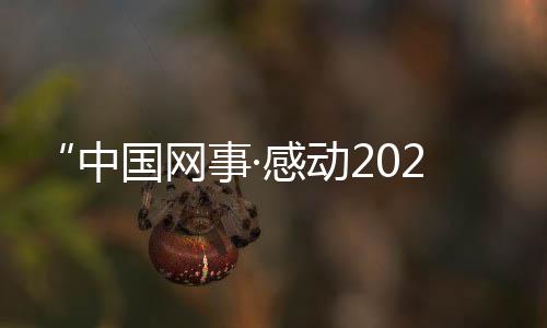 感动一次偶然的季度机会