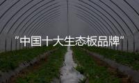 快排公司十年历程，霸屏兔 seo 的崛起与坚守