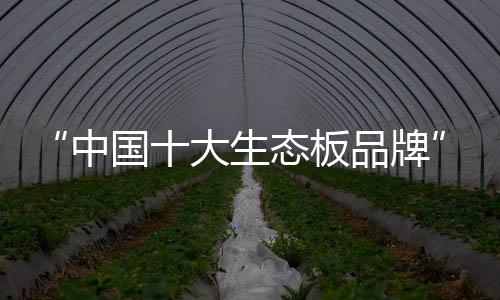 品牌表面抗龟裂达5级