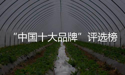 还有琴棋书画诗酒花
