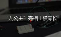 快排公司十年历程，霸屏兔 seo 的崛起与坚守
