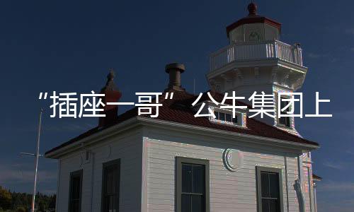 公牛离百亿元仅有一步之遥