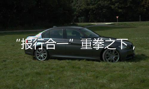 太保罚金夺冠一季度