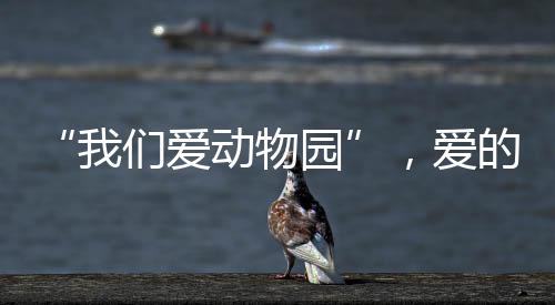 不必承受野外环境的动物艰苦
